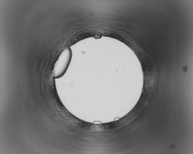 X0000115640613200912221311