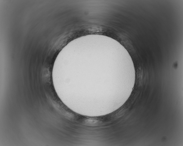 X0000115640614200912221311