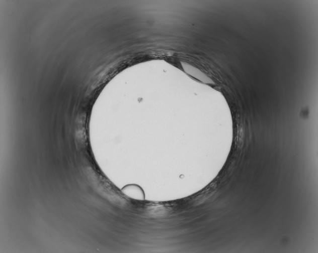 X0000115640616200912221311