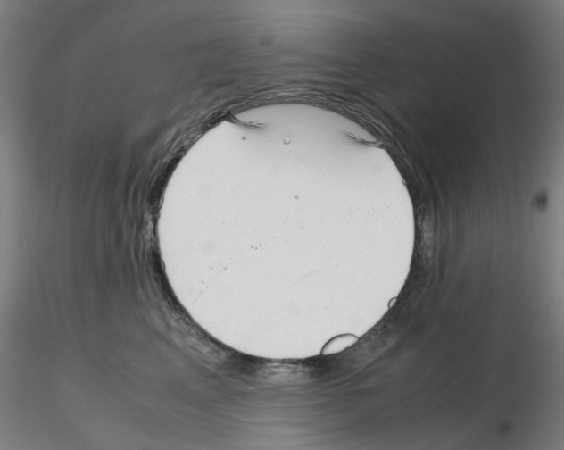 X0000115640617200912221311