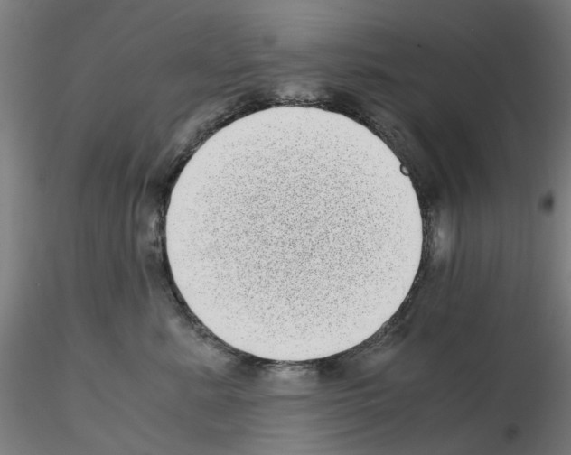 X0000115640619200912221311