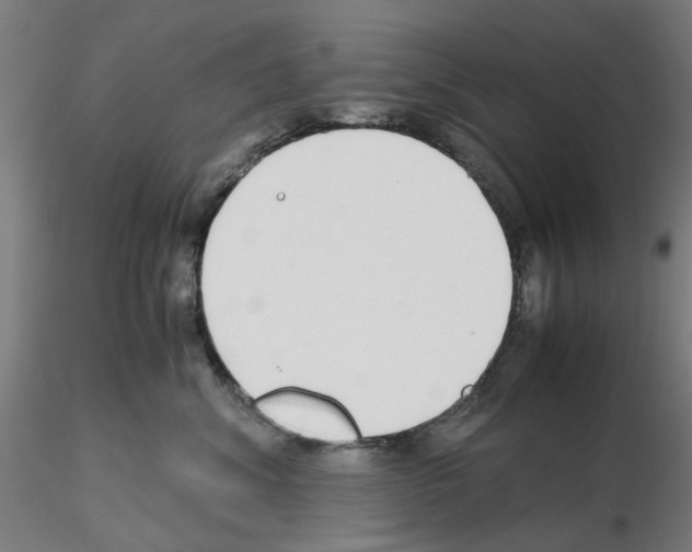 X0000115640620200912221311