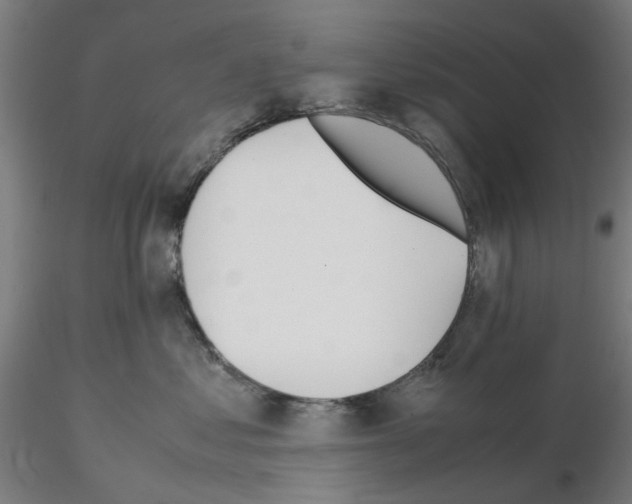 X0000115640621200912221311