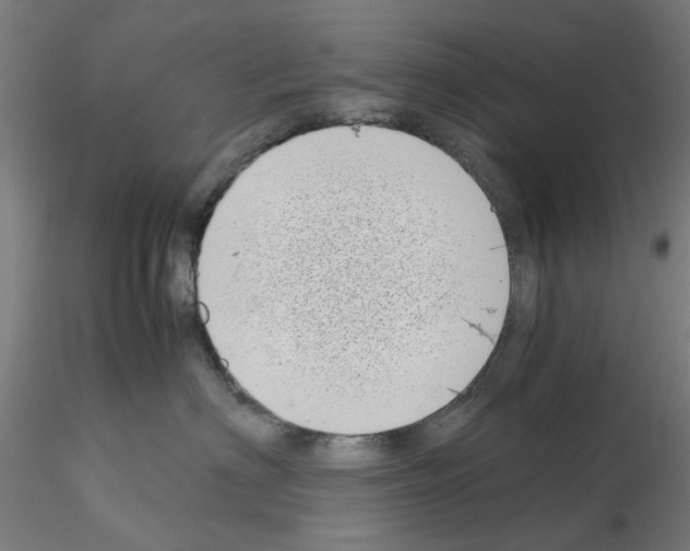 X0000115640622200912221311