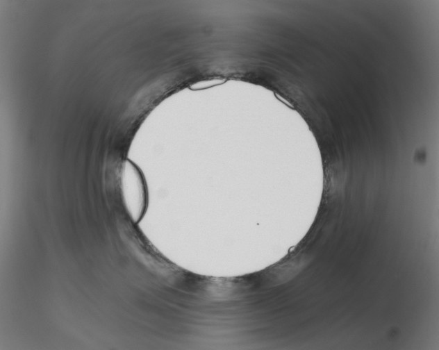 X0000115640623200912221311