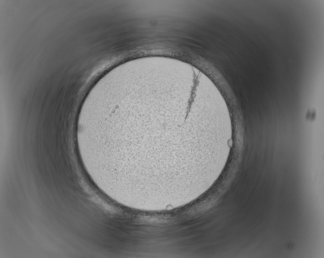 X0000115640625200912221311
