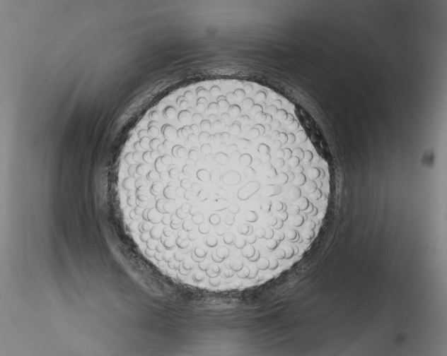X0000115640626200912221311