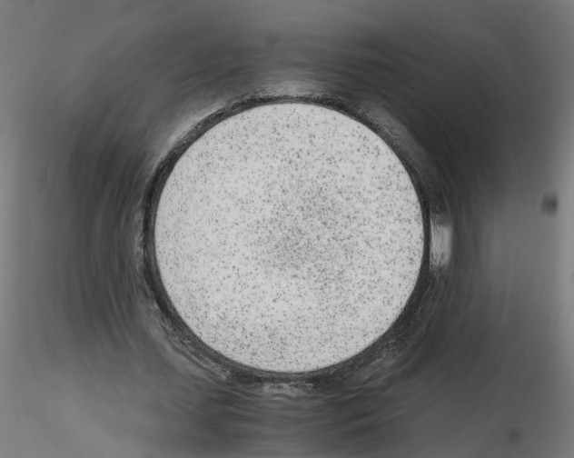 X0000115640627200912221311