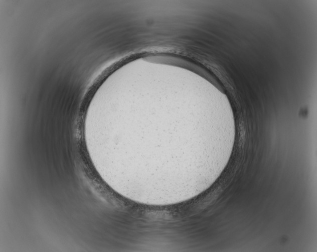 X0000115640628200912221311