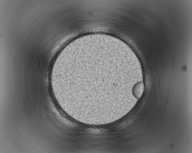 X0000115640629200912221311