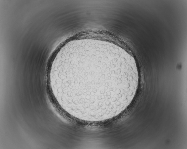 X0000115640630200912221311