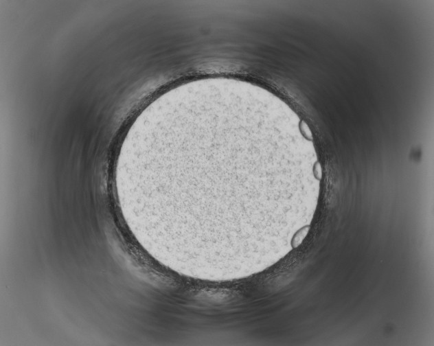 X0000115640631200912221311