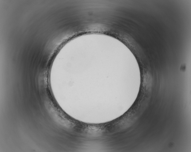 X0000115640632200912221311