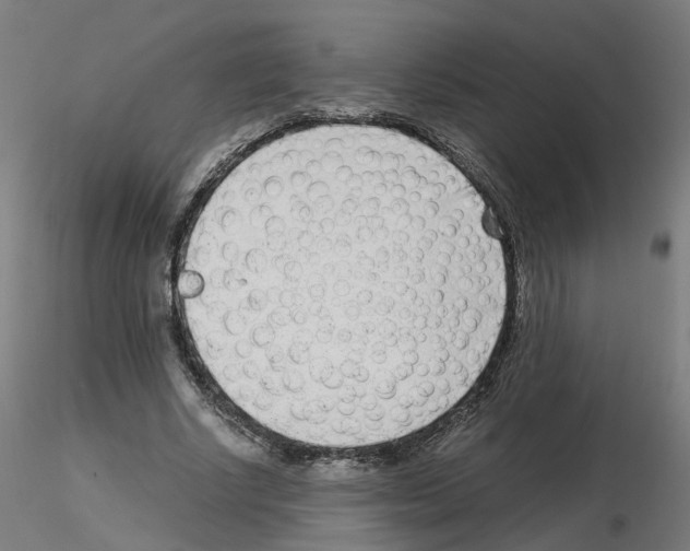 X0000115640634200912221311