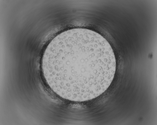 X0000115640635200912221311