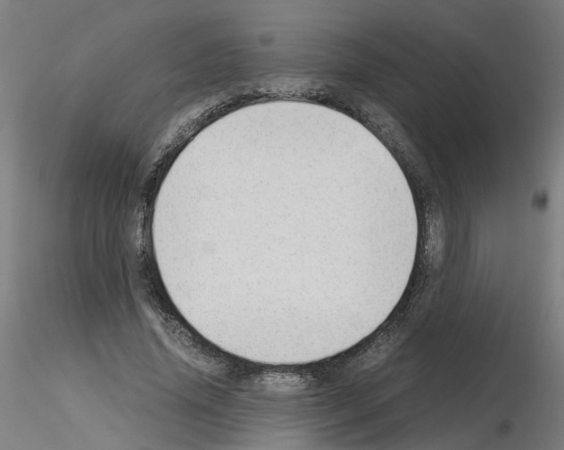 X0000115640636200912221311