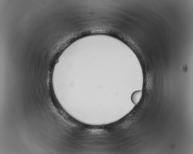 X0000115640637200912221311