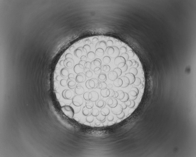 X0000115640638200912221311