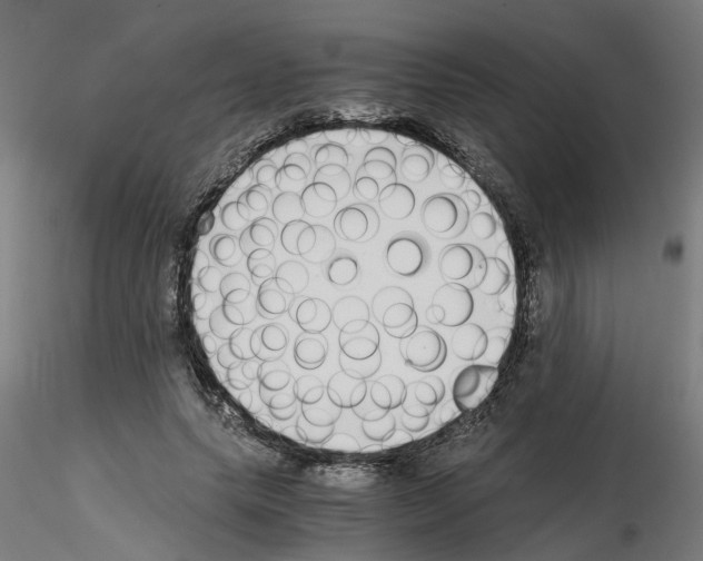 X0000115640639200912221311