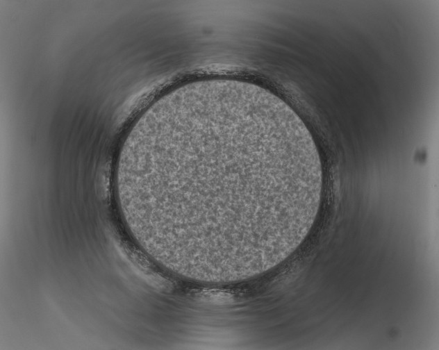 X0000115640640200912221311