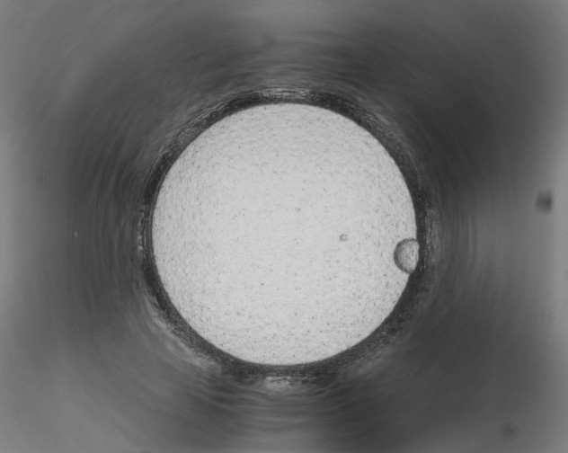 X0000115640641200912221311