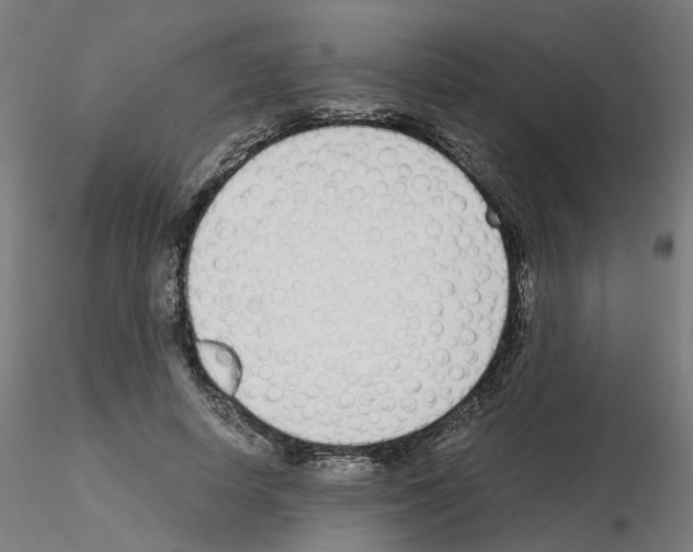 X0000115640642200912221311