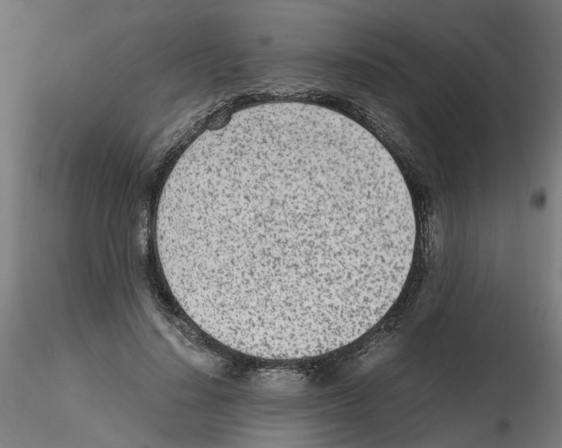 X0000115640644200912221311