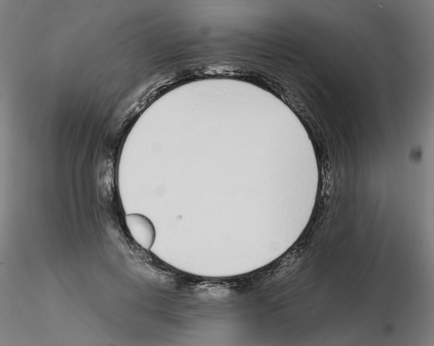 X0000115640648200912221311