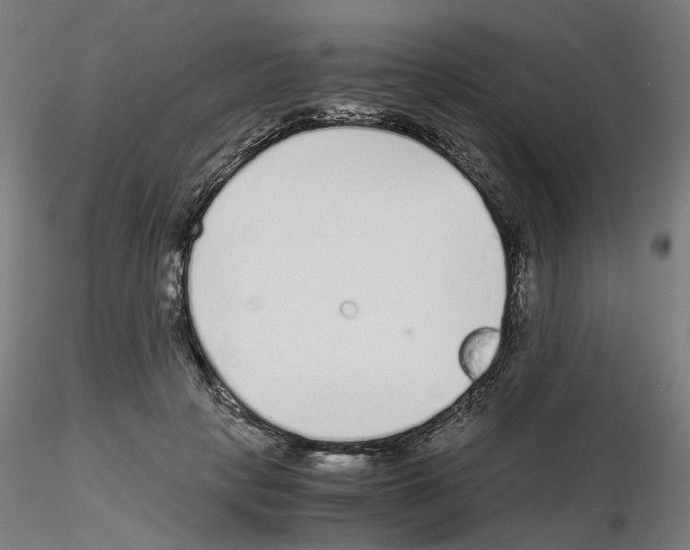 X0000115640649200912221311