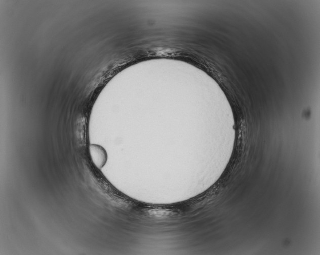 X0000115640650200912221311