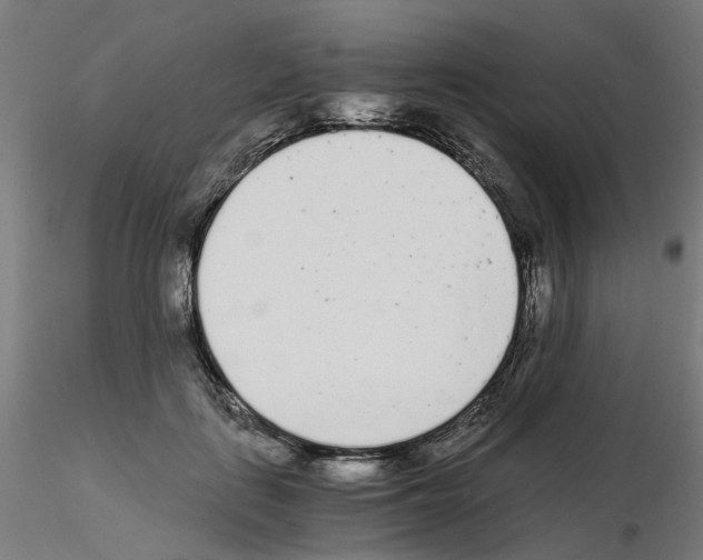 X0000115640651200912221311