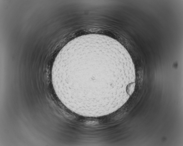 X0000115640653200912221311