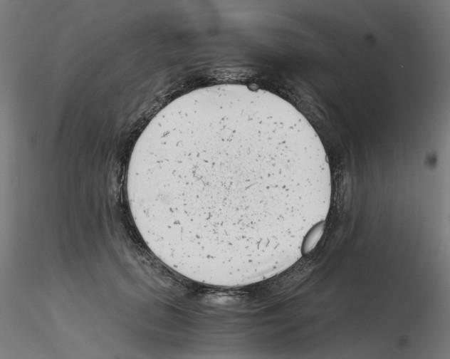 X0000115640655200912221311