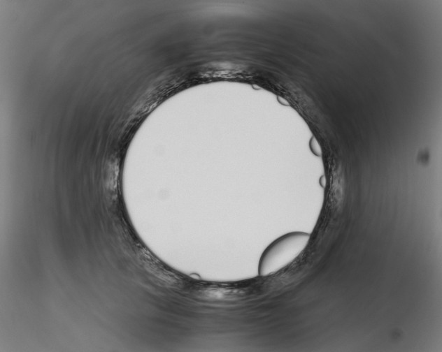 X0000115640657200912221311