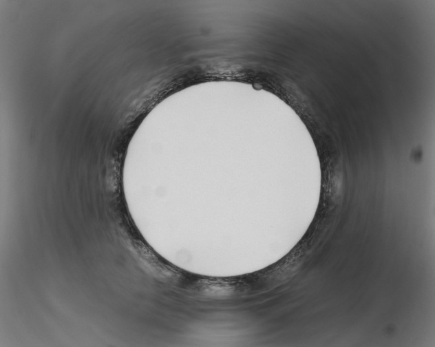 X0000115640658200912221311