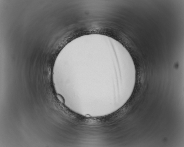 X0000115640660200912221311