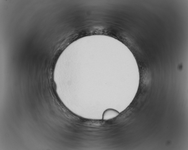 X0000115640661200912221311