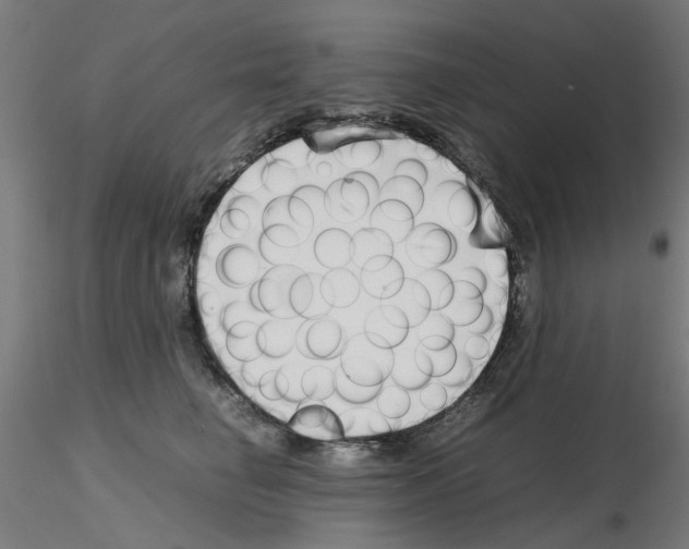 X0000115640662200912221311