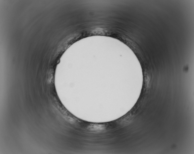 X0000115640665200912221311