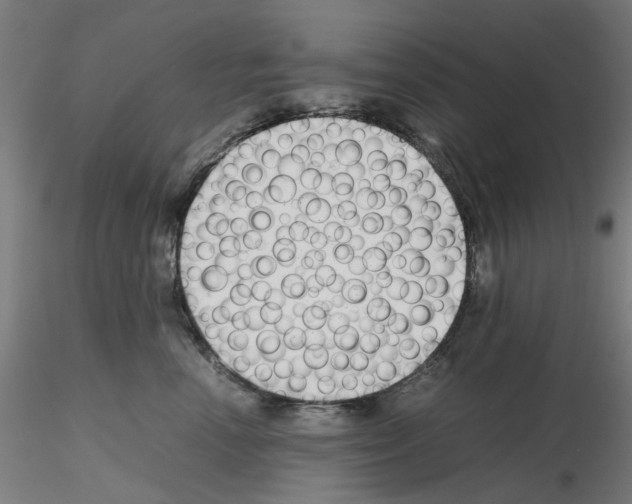 X0000115640666200912221311