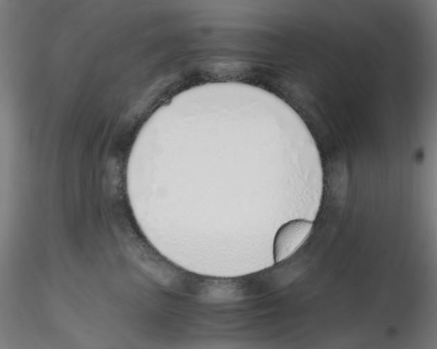 X0000115640667200912221311