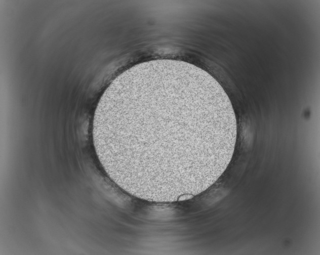 X0000115640668200912221311
