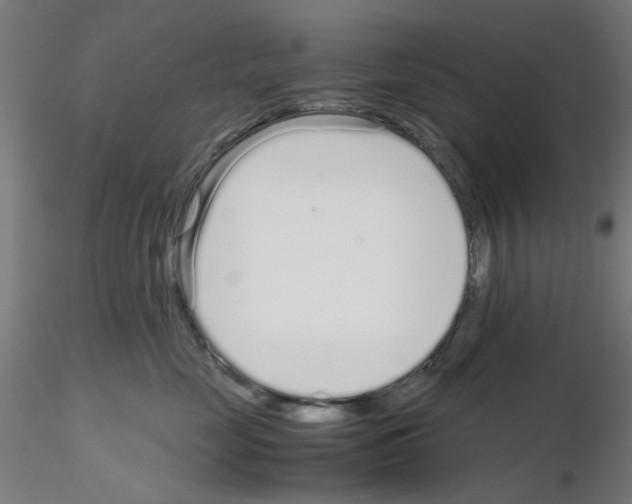 X0000115640669200912221311