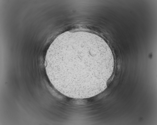 X0000115640670200912221311