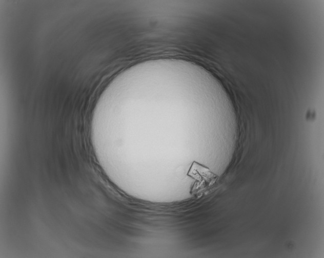X0000115640672200912221311