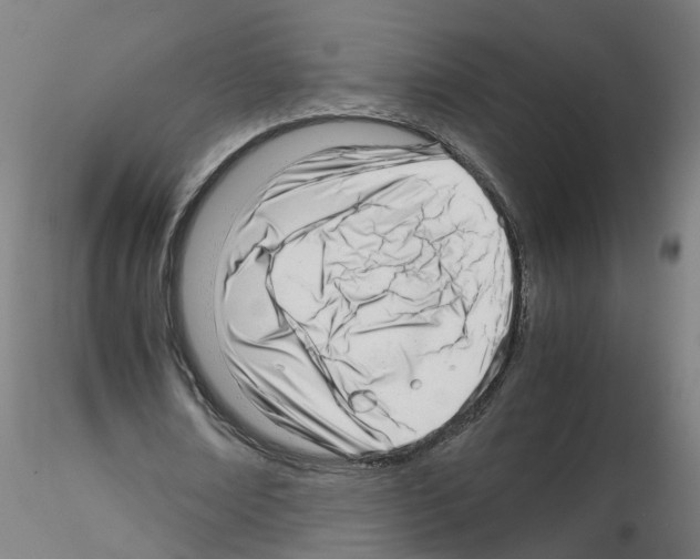 X0000115640674200912221311
