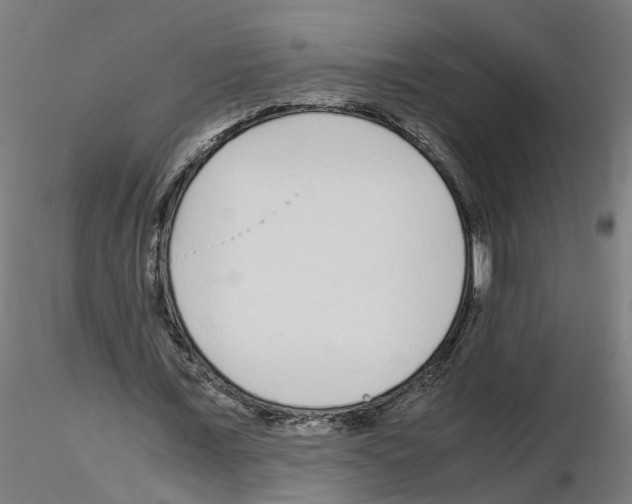 X0000115640675200912221311