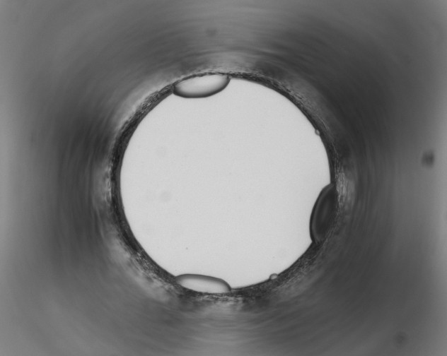X0000115640676200912221310