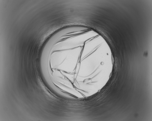 X0000115640677200912221310