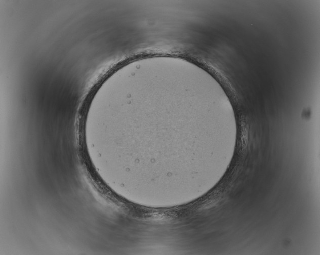 X0000115640678200912221310